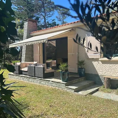Maison A Deux Pas Des Dunes Et De La Plage-15mn Du Vendee Globe Holiday home