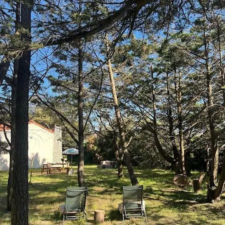 Maison A Deux Pas Des Dunes Et De La Plage-15mn Du Vendee Globe