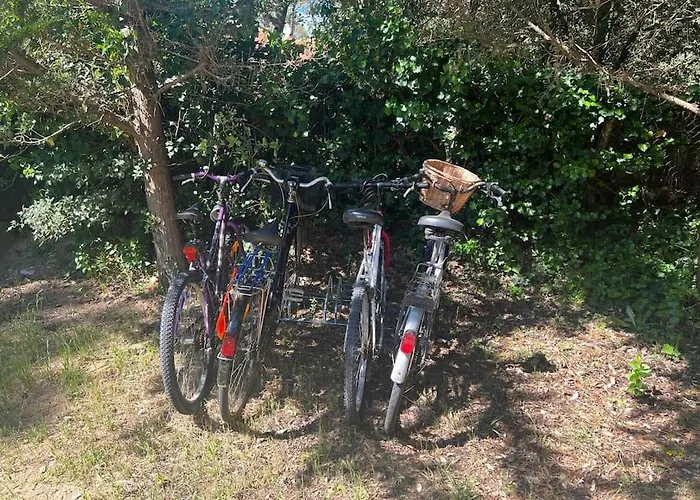 Maison A Deux Pas Des Dunes Et De La Plage-15mn Du Vendee Globe *