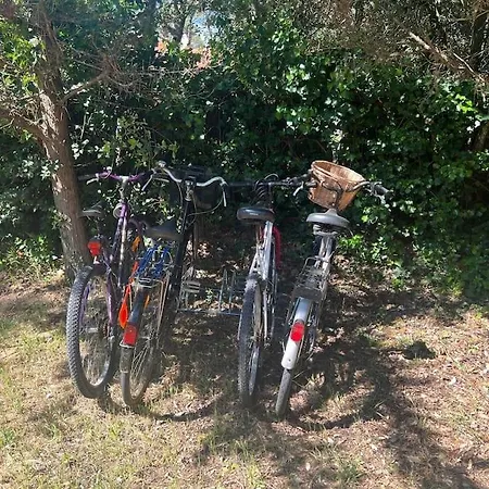Maison à Deux Pas Des Dunes Et De La Plage-15mn Du Vendée Globe *