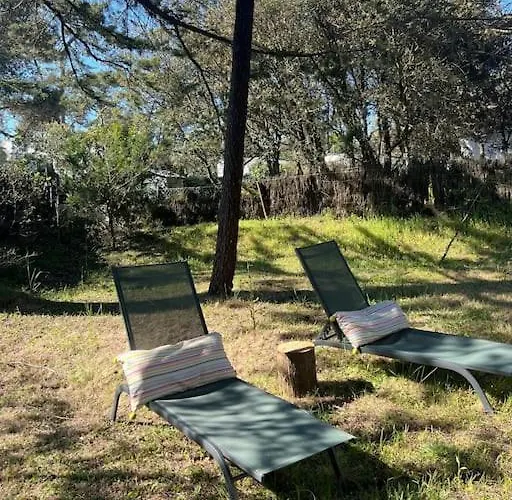 Hébergement de vacances Maison à Deux Pas Des Dunes Et De La Plage-15mn Du Vendée Globe