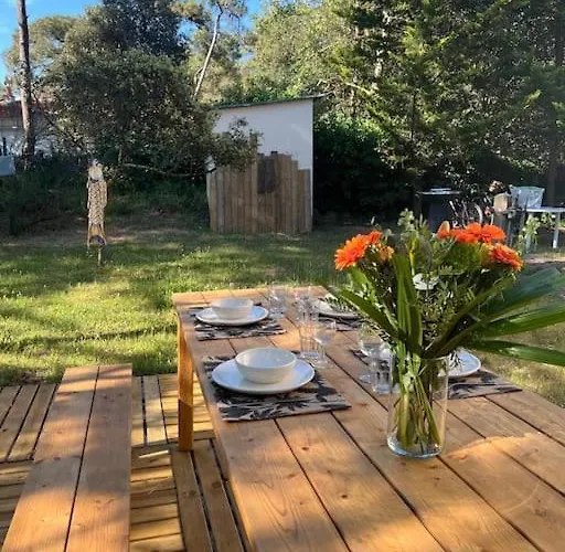 Maison à Deux Pas Des Dunes Et De La Plage-15mn Du Vendée Globe Hébergement de vacances *