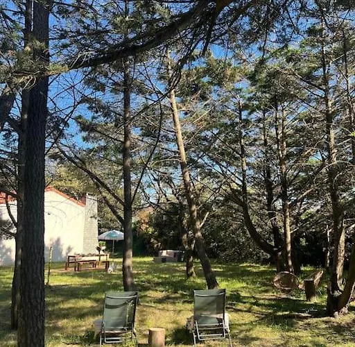 Maison à Deux Pas Des Dunes Et De La Plage-15mn Du Vendée Globe